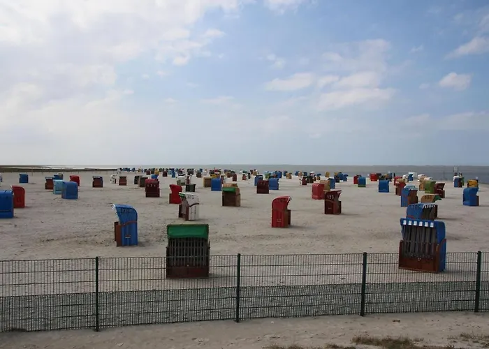 Am Deich Hagermarsch